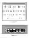 Fig. 294 - Microcarriers for Stem Cell Culture