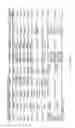Fig. 302 - Microcarriers for Stem Cell Culture