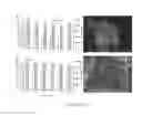 Fig. 308 - Microcarriers for Stem Cell Culture