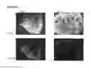 Fig. 55 - Microcarriers for Stem Cell Culture