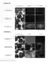 Fig. 57 - Microcarriers for Stem Cell Culture