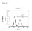 Fig. 59 - Microcarriers for Stem Cell Culture