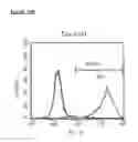 Fig. 60 - Microcarriers for Stem Cell Culture