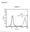 Fig. 61 - Microcarriers for Stem Cell Culture