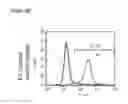 Fig. 62 - Microcarriers for Stem Cell Culture