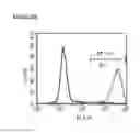 Fig. 64 - Microcarriers for Stem Cell Culture