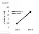 Fig. 65 - Microcarriers for Stem Cell Culture