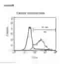 Fig. 66 - Microcarriers for Stem Cell Culture