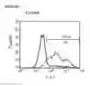 Fig. 67 - Microcarriers for Stem Cell Culture