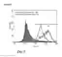 Fig. 69 - Microcarriers for Stem Cell Culture