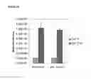 Fig. 72 - Microcarriers for Stem Cell Culture