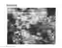 Fig. 86 - Microcarriers for Stem Cell Culture