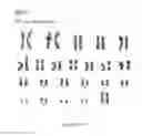Fig. 95 - Microcarriers for Stem Cell Culture