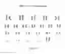 Fig. 97 - Microcarriers for Stem Cell Culture