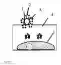 Fig. 06 - Transfection with micro explosion enacted by coated dry ice particles