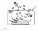 Fig. 07 - Transfection with micro explosion enacted by coated dry ice particles