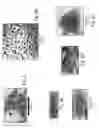 Fig. 06 - Shaped nanocrystal particles and methods for making the same