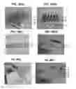 Fig. 25 - Scraper assembly