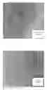 Fig. 01 - Methods for producing nanoparticles using palladium salt and uses thereof