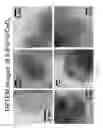 Fig. 28 - Methods for producing nanoparticles using palladium salt and uses thereof