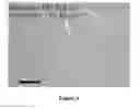 Fig. 06 - DEVICE FOR RAPID IDENTIFICATION OF NUCLEIC ACIDS FOR BINDING TO SPECIFIC CHEMICAL TARGETS