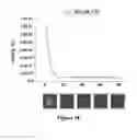 Fig. 09 - DEVICE FOR RAPID IDENTIFICATION OF NUCLEIC ACIDS FOR BINDING TO SPECIFIC CHEMICAL TARGETS