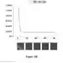 Fig. 10 - DEVICE FOR RAPID IDENTIFICATION OF NUCLEIC ACIDS FOR BINDING TO SPECIFIC CHEMICAL TARGETS