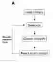 Fig. 01 - Method for producing second-generation library