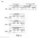 Fig. 05 - METHODS AND SYSTEMS FOR SCREENING FOR AND DIAGNOSING DNA METHYLATION ASSOCIATED WITH AUTISM SPECTRUM DISORDERS