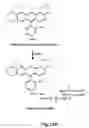 Fig. 14 - PH modulation method to detect ligand-receptor binding