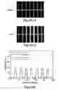 Fig. 35 - PH modulation method to detect ligand-receptor binding