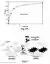 Fig. 36 - PH modulation method to detect ligand-receptor binding