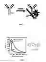Fig. 02 - Fluorescent methods and materials for directed biomarker signal amplification