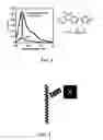 Fig. 03 - Fluorescent methods and materials for directed biomarker signal amplification