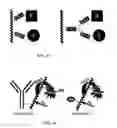 Fig. 08 - Fluorescent methods and materials for directed biomarker signal amplification