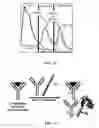 Fig. 09 - Fluorescent methods and materials for directed biomarker signal amplification