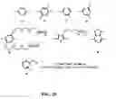 Fig. 12 - Fluorescent methods and materials for directed biomarker signal amplification