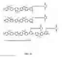 Fig. 13 - Fluorescent methods and materials for directed biomarker signal amplification