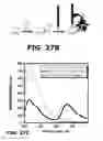 Fig. 19 - Fluorescent methods and materials for directed biomarker signal amplification