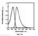 Fig. 21 - Fluorescent methods and materials for directed biomarker signal amplification