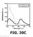 Fig. 23 - Fluorescent methods and materials for directed biomarker signal amplification