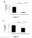 Fig. 04 - MiR-29-based methods for the diagnosis and prognosis of acute myeloid leukemia (AML)