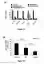 Fig. 03 - MiR-182-, miR-191, miR-199a-based methods for the diagnosis and prognosis of acute myeloid leukemia (AML)