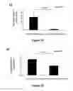 Fig. 04 - MiR-182-, miR-191, miR-199a-based methods for the diagnosis and prognosis of acute myeloid leukemia (AML)