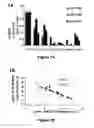 Fig. 02 - MiR-25-based methods for the diagnosis and prognosis of acute myeloid leukemia (AML)