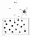 Fig. 02 - Method for analyzing color code encoded in magnetic structure