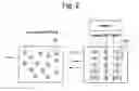 Fig. 03 - Method for analyzing color code encoded in magnetic structure