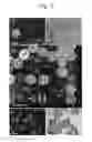 Fig. 06 - Method for analyzing color code encoded in magnetic structure