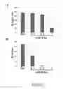 Fig. 02 - RAPID SCREEN FOR REPRODUCTIVE TOXICANTS