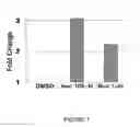 Fig. 08 - RAPID SCREEN FOR REPRODUCTIVE TOXICANTS
